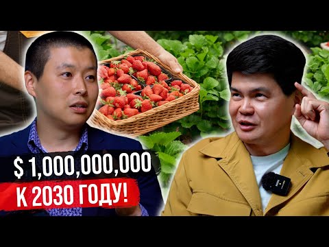 Видео: Сельское хозяйство в КР – ВЕСЬ МИР полюбит кыргызские ягоды!?