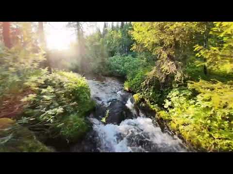 Видео: Медитация на ручей