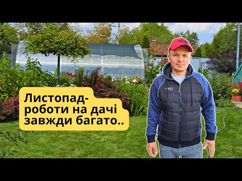 Видео: Листопад на дачі- це потрібно зробити терміново зараз!