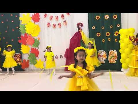 Видео: 7 ноября 2025 г.