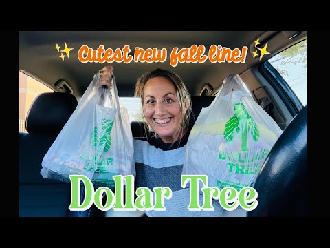 Видео: ✨НОВИНКА✨ НОВИНКА DOLLAR TREE | Отличные новинки по всему магазину | Милейшая новая осенняя колле...