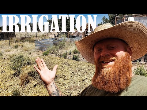 Видео: Полив моего сада, не подключенного к электросети