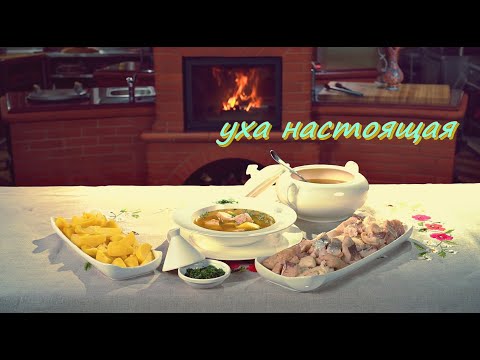 Видео: Уха настоящая