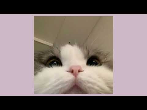 Видео: клава кока, morgenshtern - мне пох (slowed)