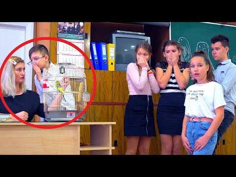 Видео: СТУКАЧ В КЛАССЕ!!! КТО ЭТОТ НЕГОДЯЙ???!!!!