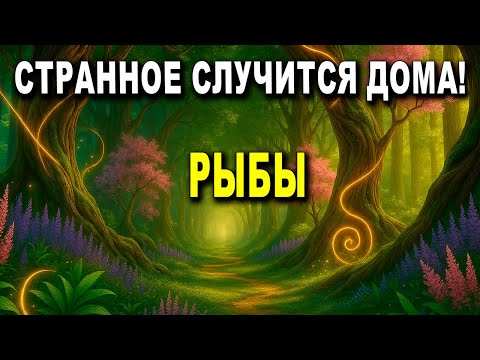 Видео: РЫБЫ ♓ СКОРО 🫢 В ДОМЕ ПРОИЗОЙДЕТ НЕЧТО СТРАННОЕ 😮 ВЫЙДЕШЬ, А ВОЗВРАЩЕНИЕ ПРИНЕСЕТ ФОРТУНУ 💰