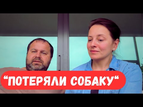 Видео: США Мы  потеряли собаку | Влог США