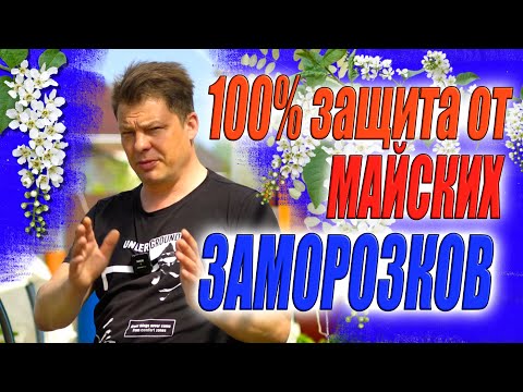 Видео: Самая эффективная защита от заморозка