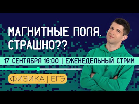 Видео: МАГНЕТИЗМ | САМАЯ СЛОЖНАЯ ТЕМА? | ЕГЭ ПО ФИЗИКЕ 2023