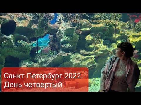 Видео: Санкт-Петербург-2022.Четвертый день. Океанариум.