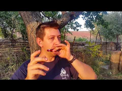 Видео: Бенд на первом отверстии+блюзовая кода (тернераунд) Урок № 29.How to play the blues on the harmonica