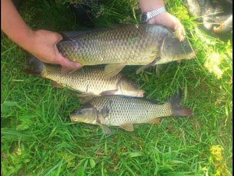 Видео: КЛАССНАЯ ПОПЛАВОЧНАЯ ОСНАСТКА