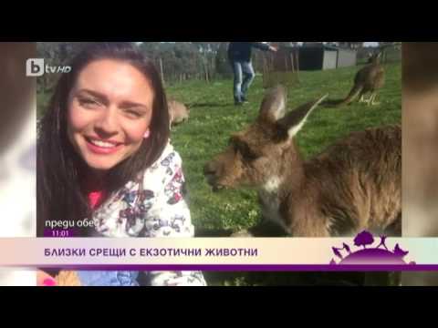 Видео: Преди обед: Приключенията на една стюардеса