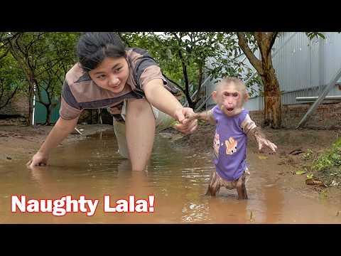 Видео: Озорная Ляля прячется от мамы на ферме и играет в воде.