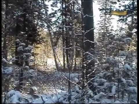 Видео: Фильм про охотника Александра Зубова (часть 3)