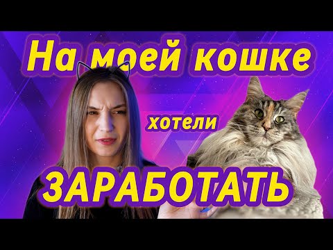 Видео: ВЯЗКА КОШЕК! ЗНАЙ ЭТО, ЧТОБЫ НЕ ПОПАСТЬ НА МОШЕННИЧЕСТВО! #top #cat #котики #мейнкун