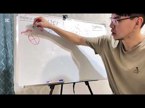 Видео: Жүректің Ишемиялық Ауруы | Стенокардия