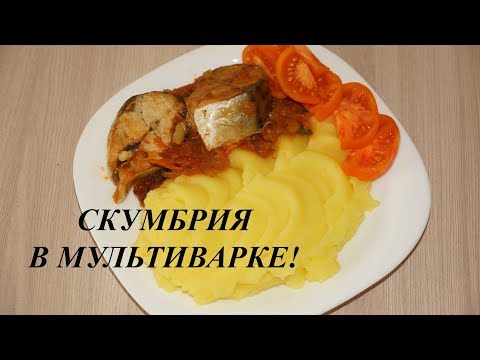 Видео: СКУМБРИЯ В МУЛЬТИВАРКЕ
