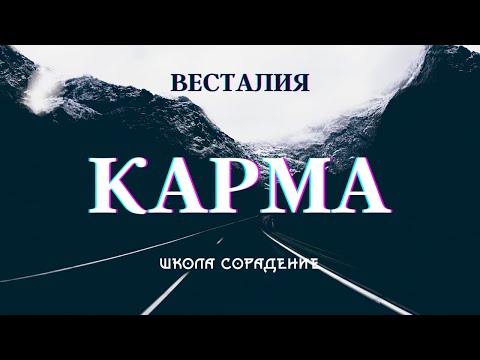 Видео: Ключ по работе с кармой  #классификация_кармы#коджизни #Весталия #карма #школаСорадение #белый_свет
