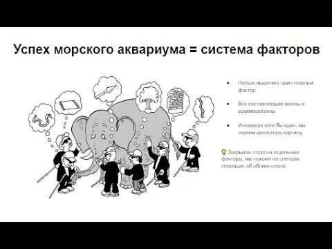 Видео: Успех морского аквариума, как система факторов