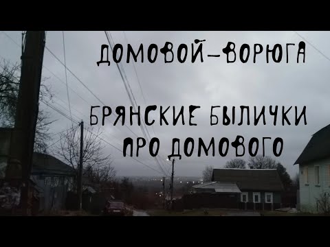 Видео: 😱 ДОМОВОЙ ВОРУЕТ ВЕЩИ! | Домовые | В. Д. Глебов | Брянские былички | 101–110