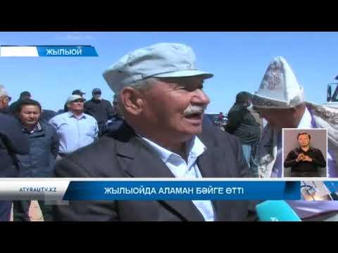 Видео: Жылыойда аламан бәйге өтті
