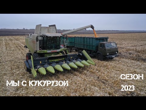 Видео: Уборочный день кукурузы