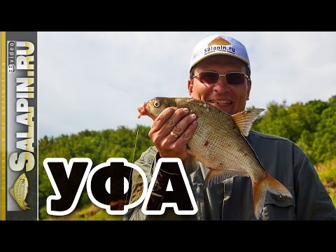 Видео: Фидерные мастер-классы и семинары в Уфе и Стерлитамаке, река Белая [salapinru]