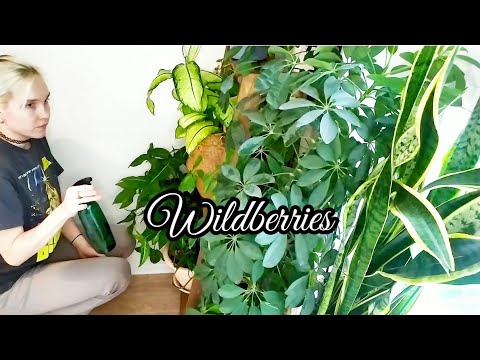 Видео: ЛУЧШИЕ покупки для дома с WILDBERRIES | Готовлю СДОБНЫЙ ПИРОГ | Обработка  старых деревянных изделий