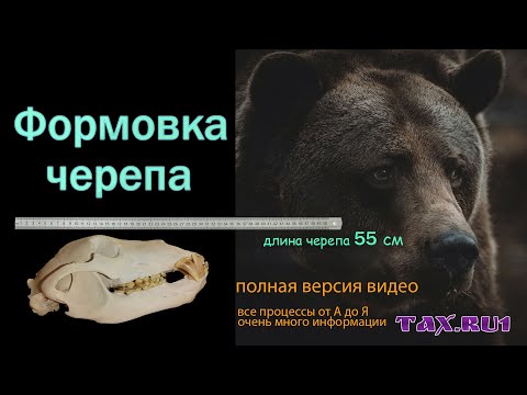 Видео: Формовка черепа 55 см полная версия видео