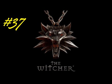 Видео: The Witcher #37 Кощей