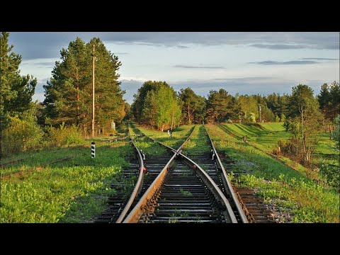 Видео: Экология развода