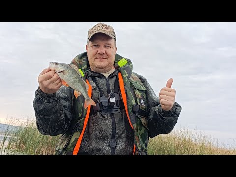 Видео: Отводной поводок. Окунь клюет на каждой проводке.