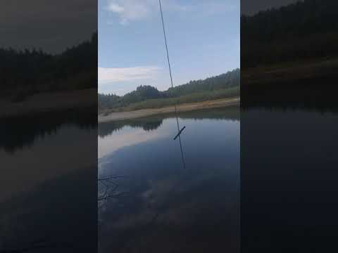 Видео: река Хор на Бичевой.