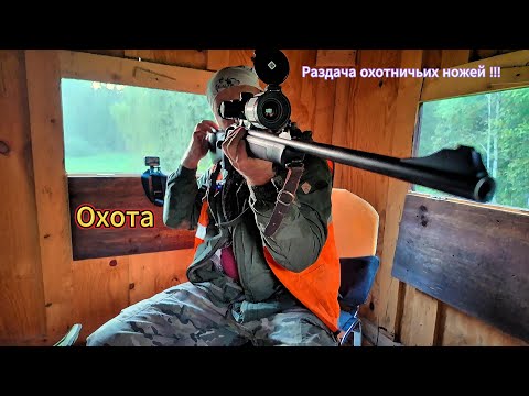 Видео: Охота на кабана! Увязался козел, пришлось его.... Раздаю охотничьи ножи!