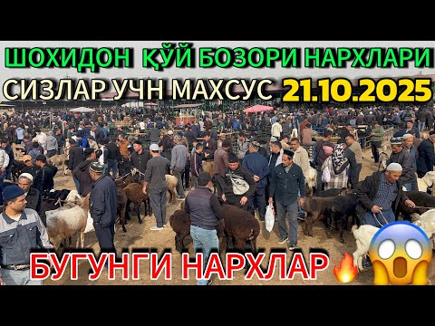 Видео: НАМАНГАН ШОХИДОН ҚЎЙ БОЗОРИ БУГУНГИ НҚРХЛҚРИ. СИЗЛАР УЧУН МАХСУС 21.10.2025