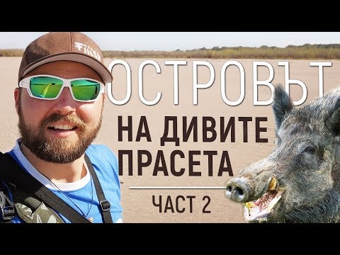 Видео: Островът на ДИВИТЕ прасета! Риболов на щука и костур  река Дунав част 2 pike fishing