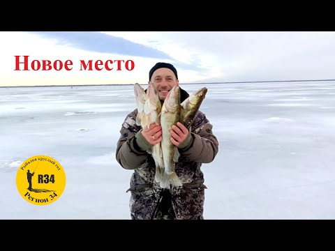 Видео: Новое место и новая приманка