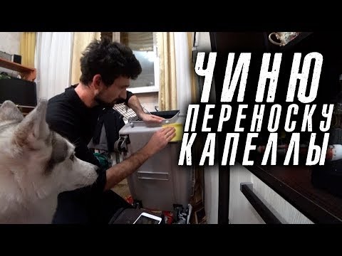 Видео: Чиню переноску для животных. Отвалилось колесо
