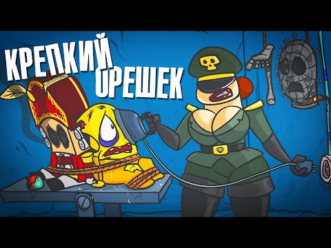 Видео: поПытки против крепкого орешка (Анимация)