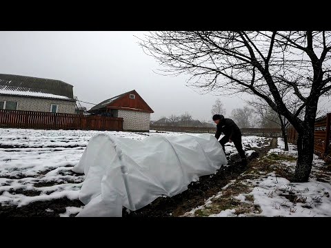 Видео: Цього ти НЕ Знав:Сильна сторона готових Парників з Агроволокна