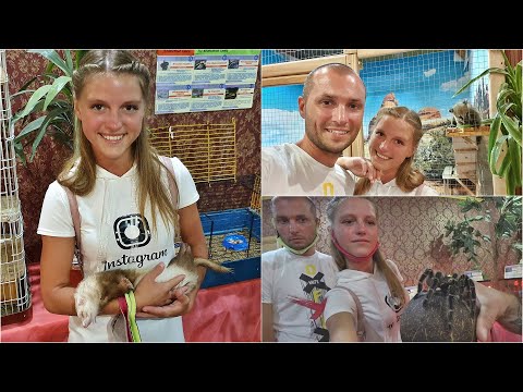 Видео: Трогательный Зоопарк в Бердянске