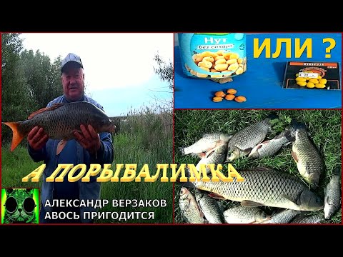 Видео: А порыбалимка 12/21г. НУТ или силиконовая КУКУРУЗА?