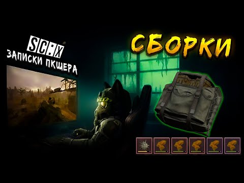 Видео: Гайд По ПКшерству В СТАЛКРАФТ! ЛУЧШИЕ СБОРКИ АРТЕФАКТОВ И КОНТЕЙНЕРЫ | Записки ПКшера в STALCRAFT: X