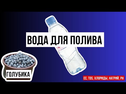 Видео: Качество воды для полива голубики | pH, EC, TDS, натрий, хлориды