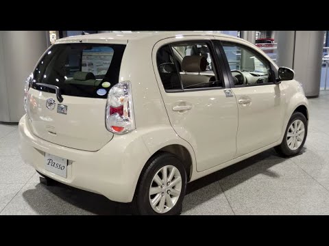 Видео: Зимний вояж из Владивостока в Омск ! Перегон Toyota Passo 2025 г.