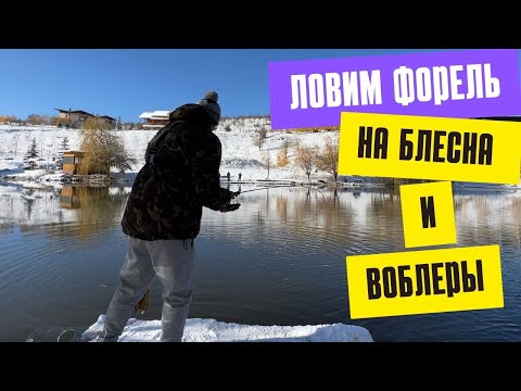 Видео: Ловим форель по первому снегу на блесна и воблеры, рыбалка близ Алматы по форели.