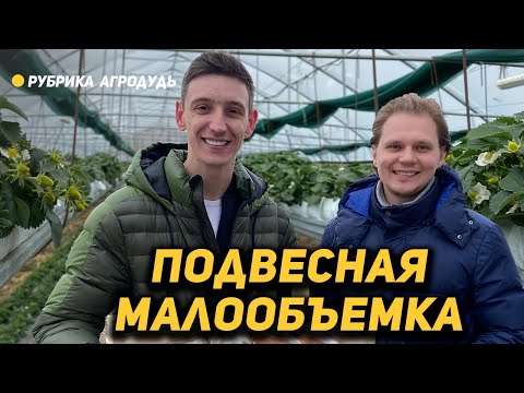 Видео: Подвесная малообъемка в Анапе и микрозелень по 1000 руб/кг - Сады Бужора