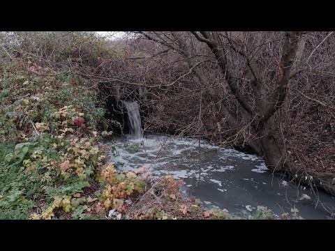 Видео: Продолжаем бороться за нашу речку Садки г.Енакиево 07.11.2025г.