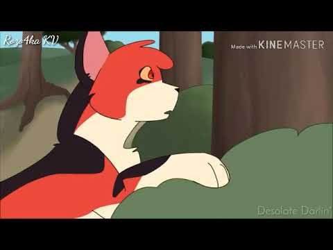 Видео: Кленовница - Садистка ( Коты Воители Клип )